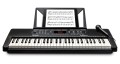 harmony54_1.jpg