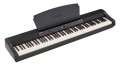 Alesis_3.jpg