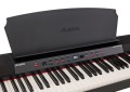 Alesis_7.jpg