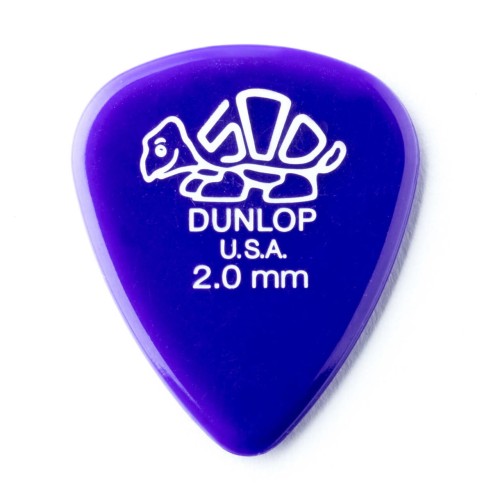 dunlop20_1.jpg