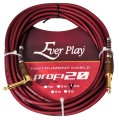 profi20_3_1.jpg