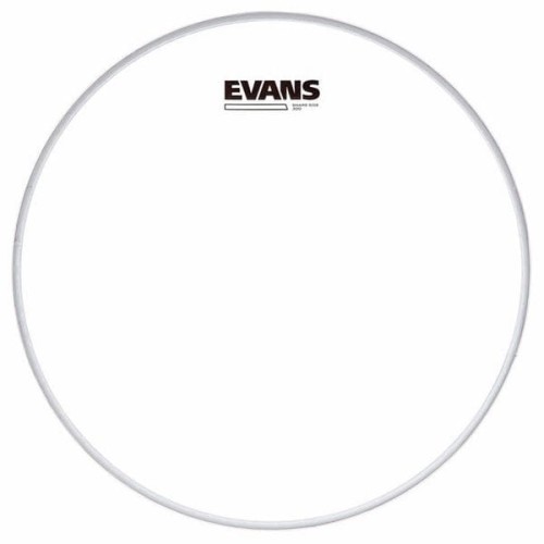 evans300_1.jpg