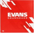 evans300_4.jpg