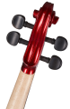 EVNX_3.png