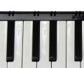 melodyka37BK_1.jpg