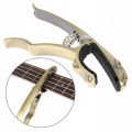 leopard_gold_5.jpg