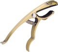 leopard_gold_6.jpg