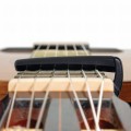 PW-CP-19_detail8_hi-res[1].jpg