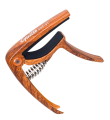 guitto_GGC_W_2.png