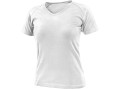 422d03cfb797bb8dde012c3ea3598a99
