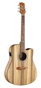 Randon RGI-PW1CE gitara elektroakustyczna naturalna matowa