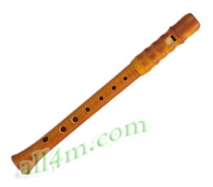 Mollenhauer Kynseker 4007 Flet sopraninowy z drewna klonu