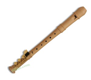 Mollenhauer Modern 5916H sopranowy z drewna gruszy