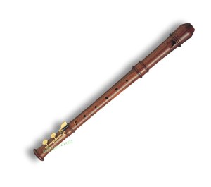 Mollenhauer Modern 5920 altowy z palisandru