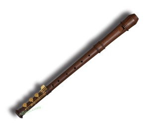 Mollenhauer Modern 5920E altowy z palisandru